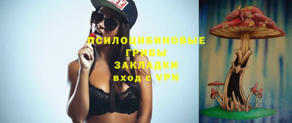 прущие крисы Алексин