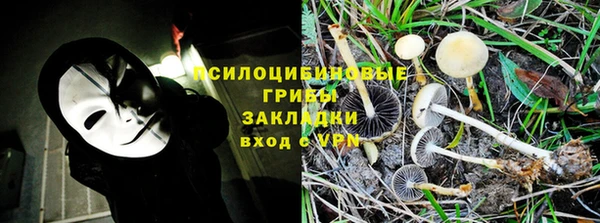 не бодяженный Алзамай